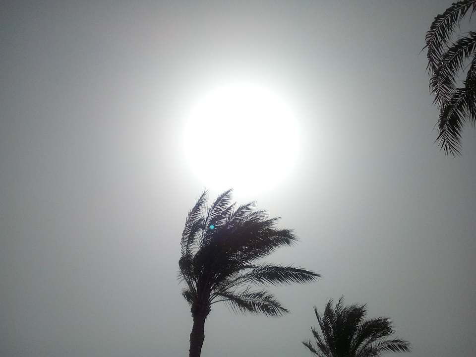 Ausblick Desert Rose