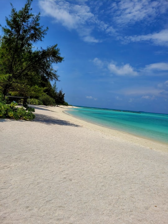Strand Summer Island Maldives