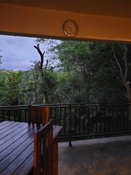 Ausblick Jungle Paradise