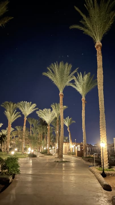 Garten Jaz Makadi Oasis Resort