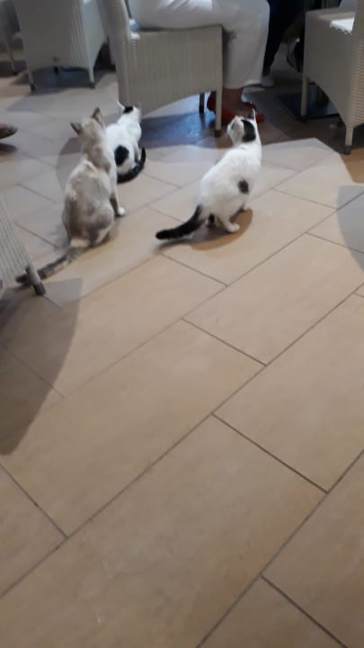 Sonstiges Olympian Bay Grand Resort