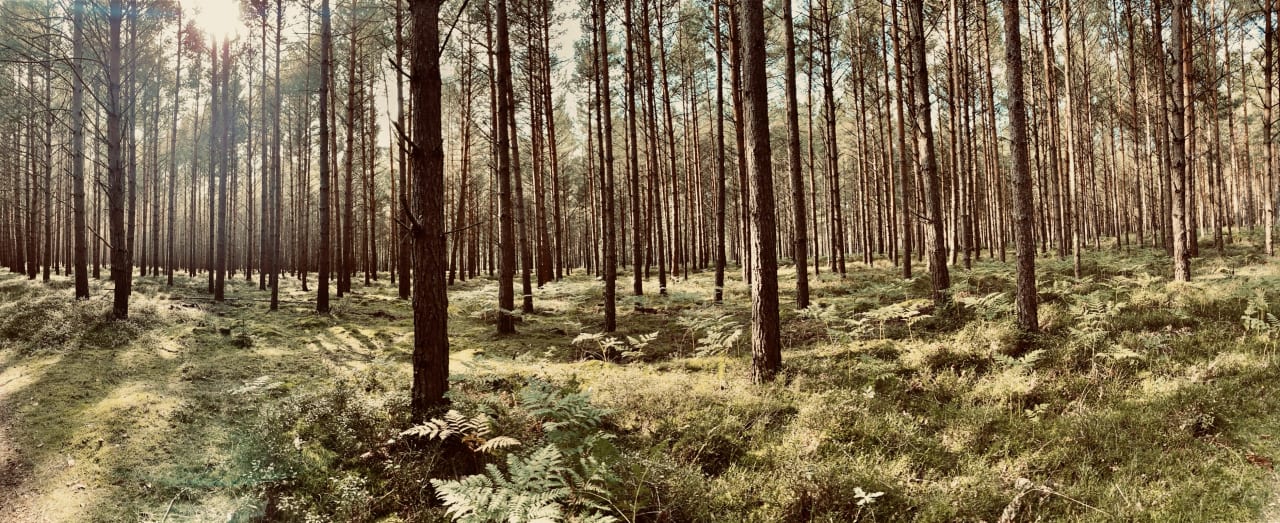 Sport & Freizeit Familotel Borchard's Rookhus am See