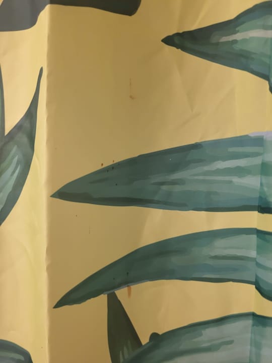 Zimmer Alani Bay Villas