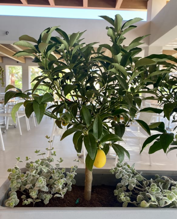 Sonstiges Anissa Beach & Village