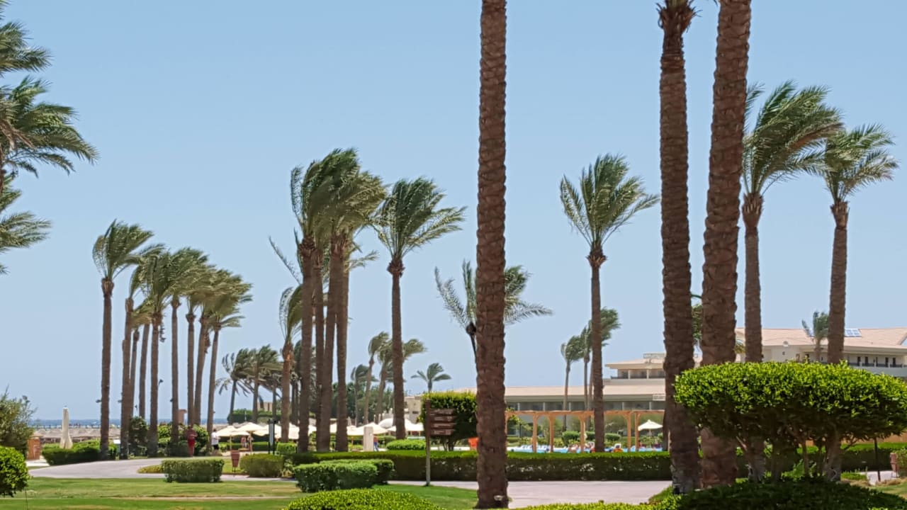 Blick aus dem Hotelzimmer Cleopatra Luxury Resort Makadi Bay