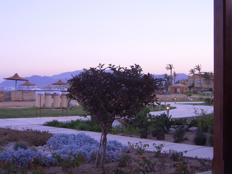 Ausblick vom Zimmer Shams Prestige Abu Soma-Adults Only