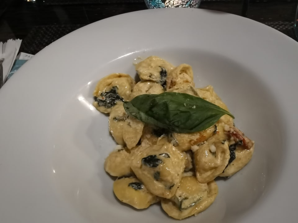 Gastro Paloma Oceana