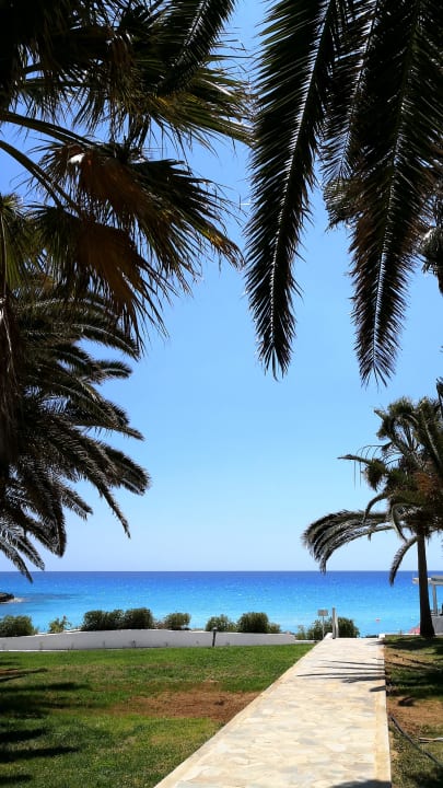 Ausblick Hotel Nissi Beach Resort