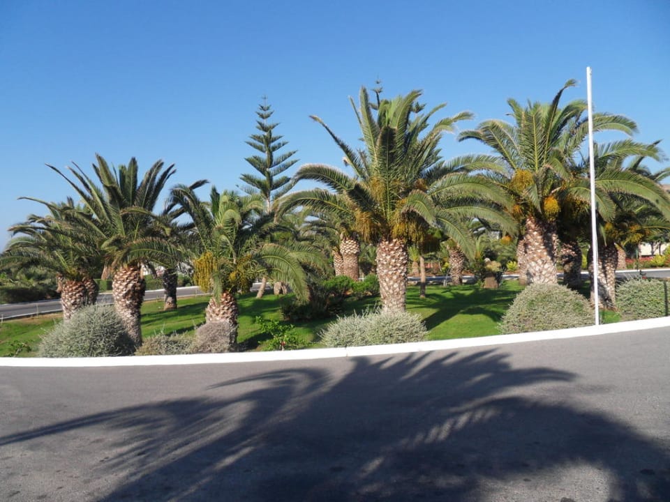 Kreisel vorm Hotel Iberostar Waves Creta Panorama & Mare