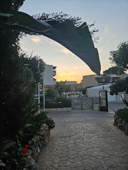 Gartenanlage Cactus Royal