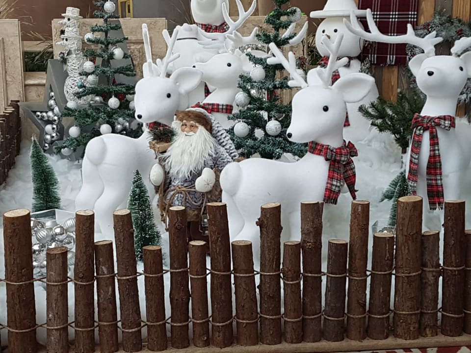 Sonstiges Rixos Sharm El Sheikh Adults Only 18 +