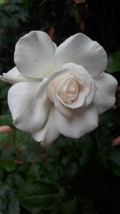 Gartenanlage Berglandhotel Untertheimerhof