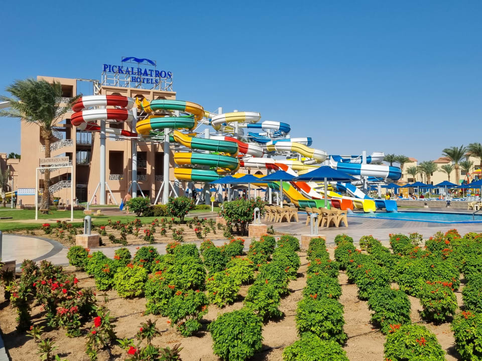 Pool Pickalbatros Aqua Park Resort - Hurghada