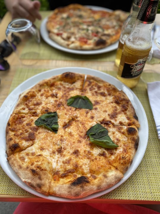 Gastro Acanthus Cennet Barut Collection