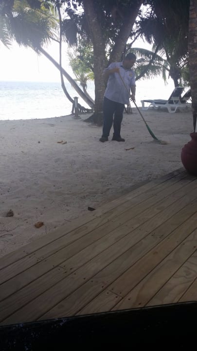 Strand wird "gefegt" ;-)  Vilamendhoo Island Resort & Spa