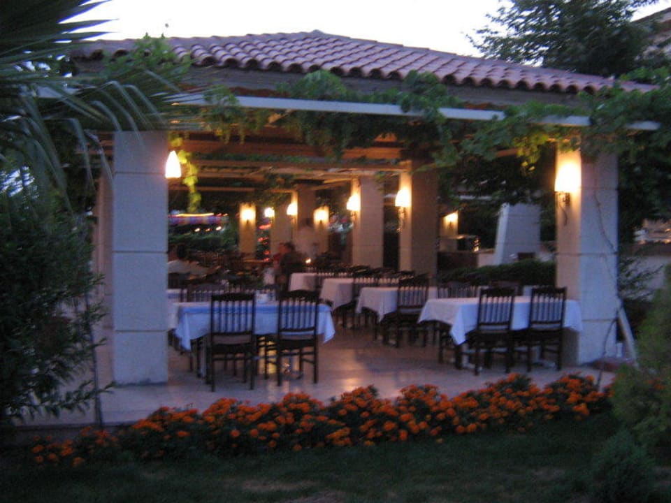 Spezialitätenrestaurant Trendy Palm Beach (Adults Only, 16+)