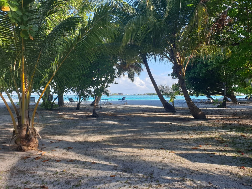 Strand Meeru Maldives Resort Island