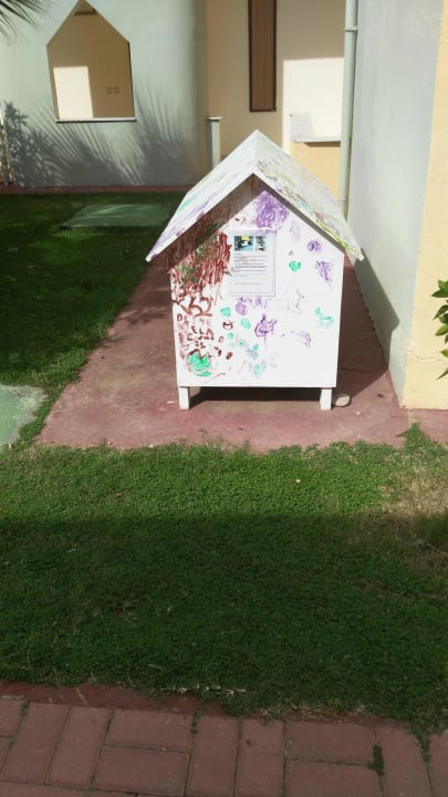 Katzenhaus Solivia Hotel