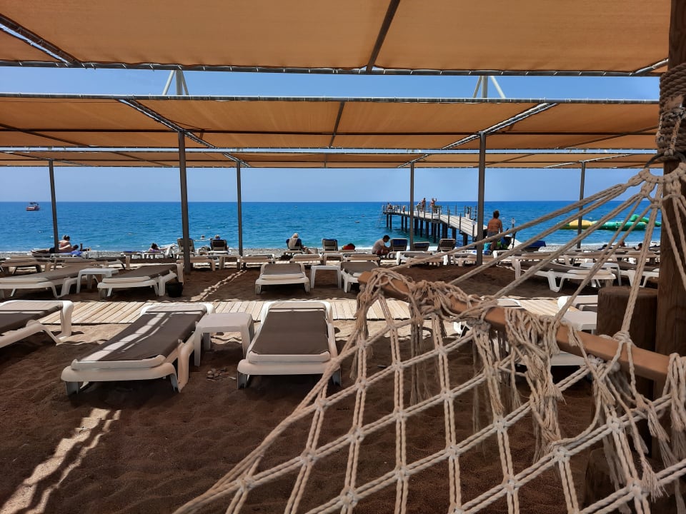 Strand TUI BLUE Palm Garden