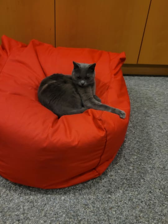 Sonstiges Das Sonnreich Thermenhotel Loipersdorf