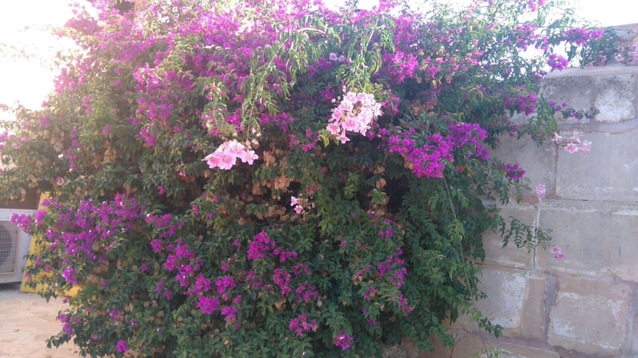 Außenansicht Finca el Retiro