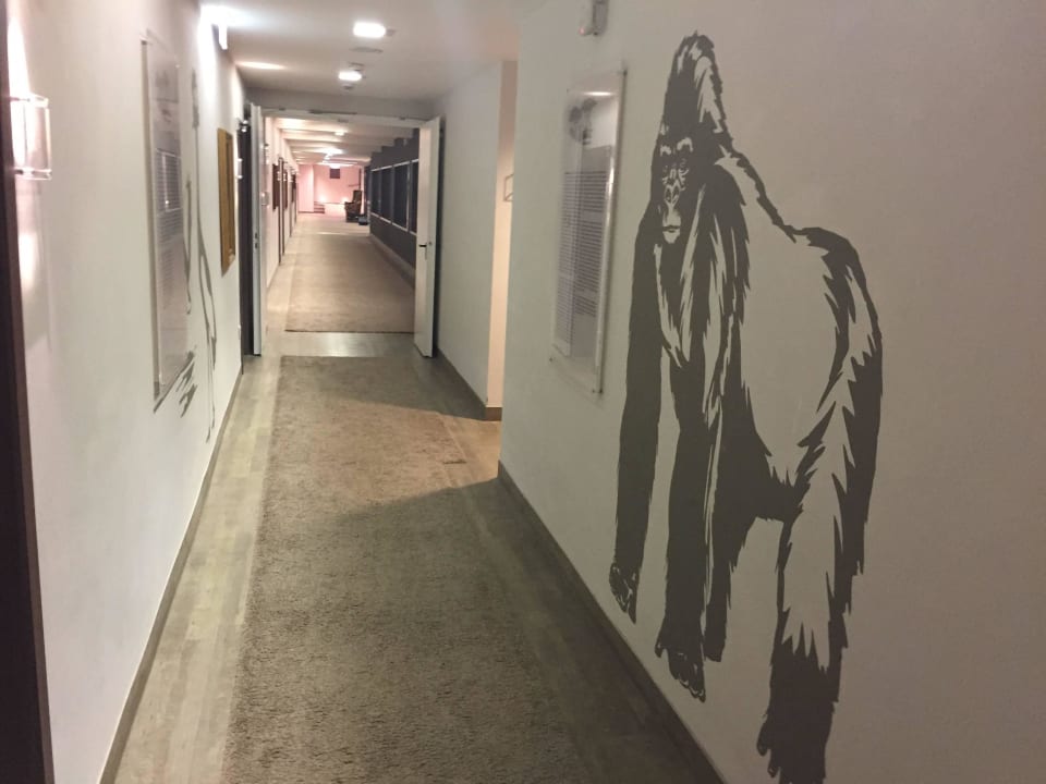 Auf der 'Afrika-Etage'...  Hotel Klostergut Jakobsberg