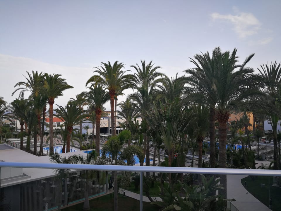 Ausblick Hotel Riu Palace Palmeras