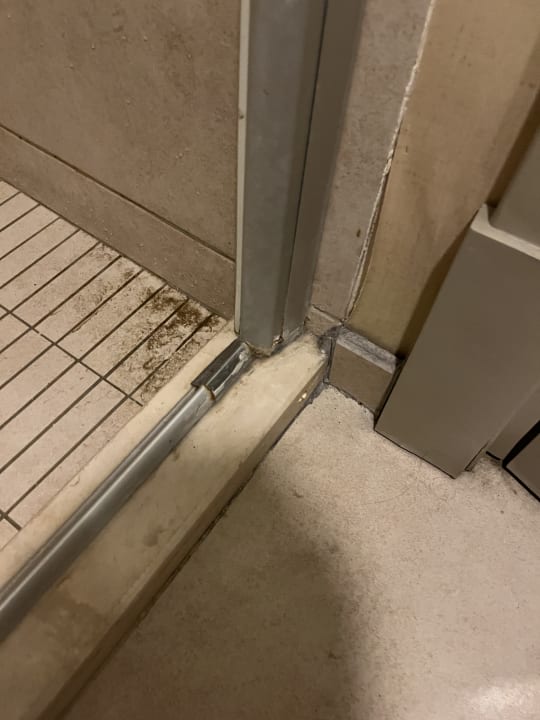 Zimmer Well Palace Side