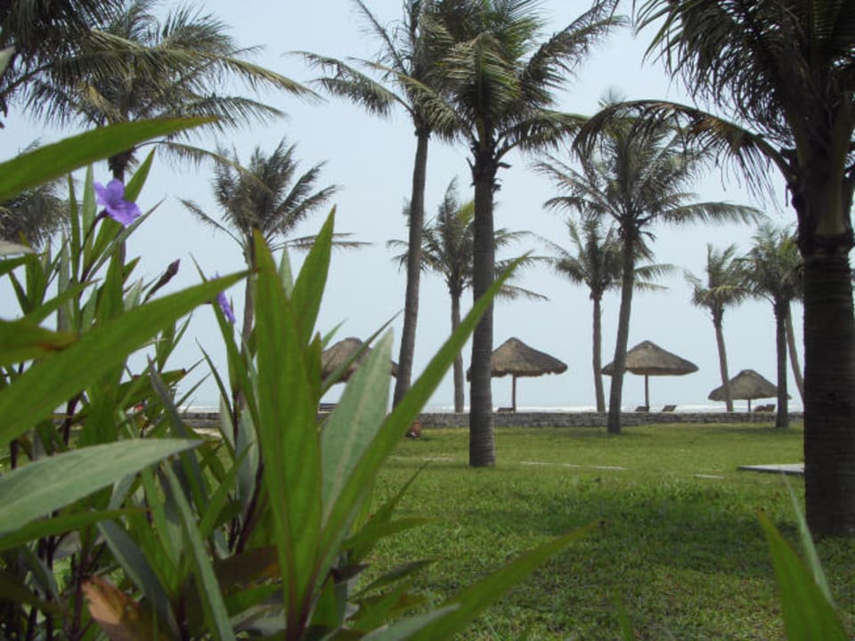 Perfekt gepflegter Frühlingsgarten Ana Mandara Hue Beach Resort & Spa