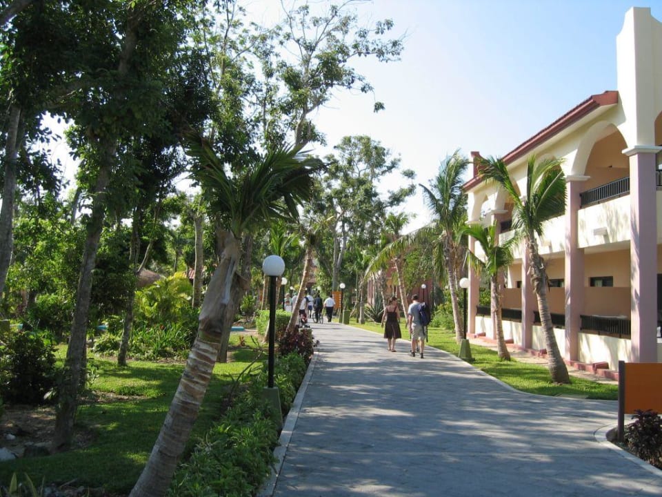 Die Hotelanlage Hotel Riu Tequila