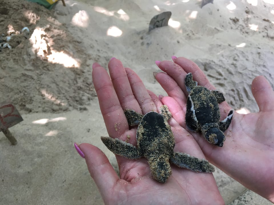 Strand Mermaid Hotel & Club