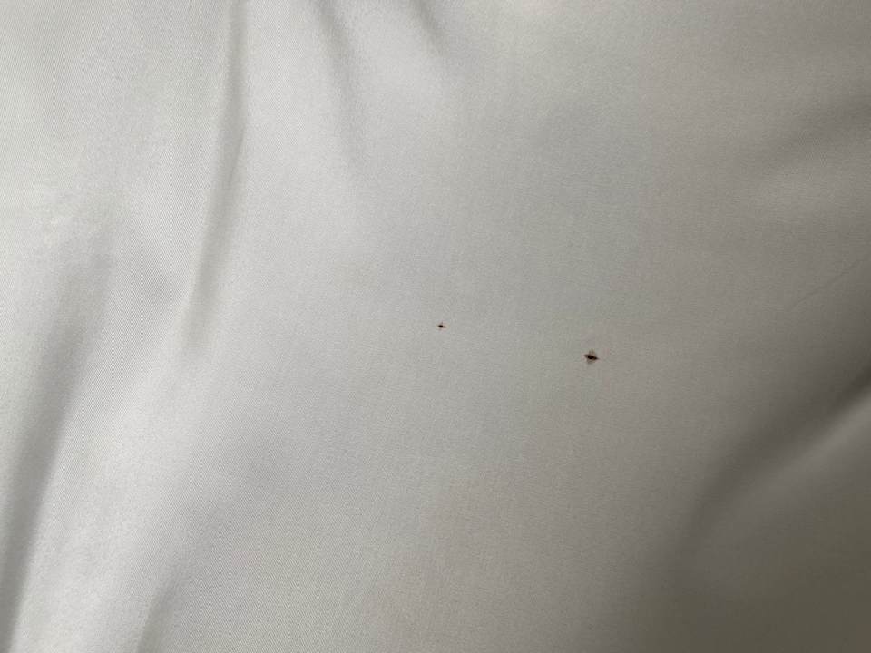 Gastro Privathotel Lindtner Hamburg