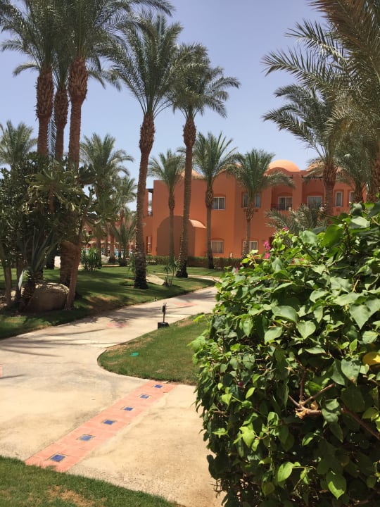 Gartenanlage Jaz Makadi Oasis Resort