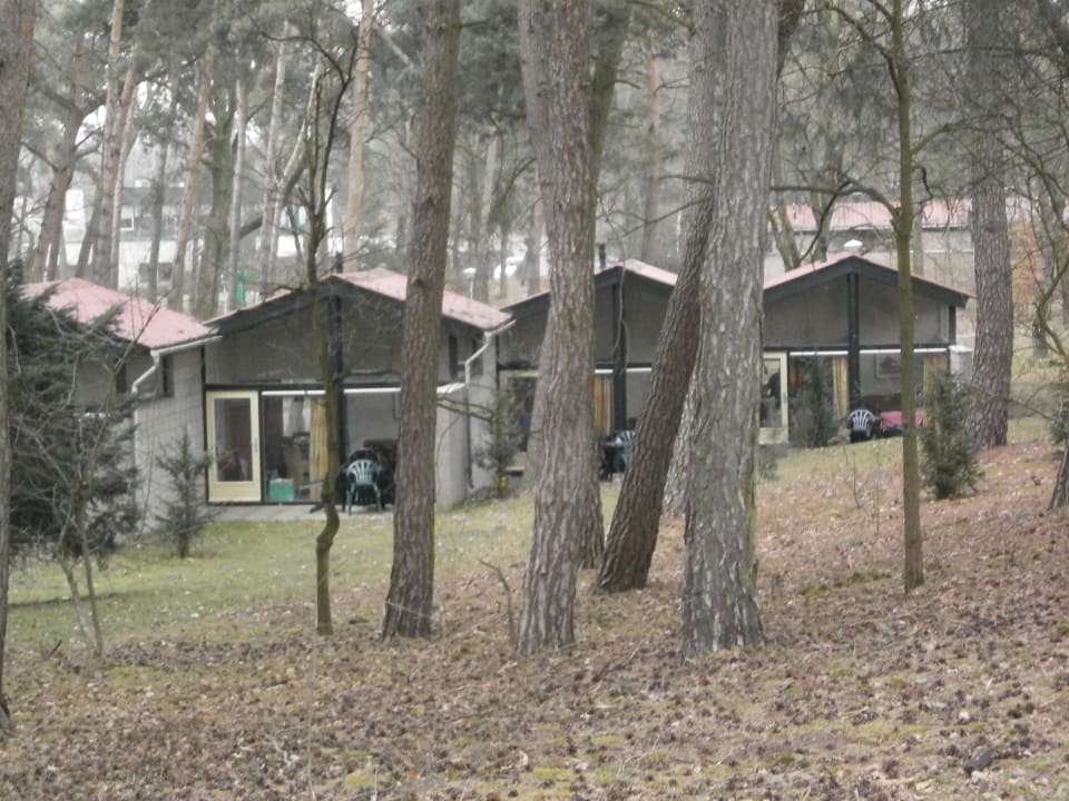 Reihenbungalows  Ferienpark Landal De Lommerbergen