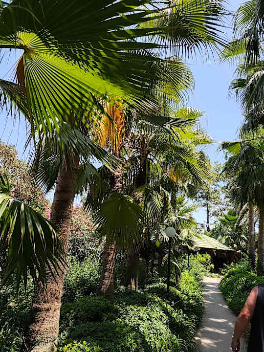 Gartenanlage Hotel Yetkin