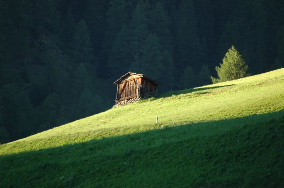 Aussicht zur Bergseite Hotel Gannerhof