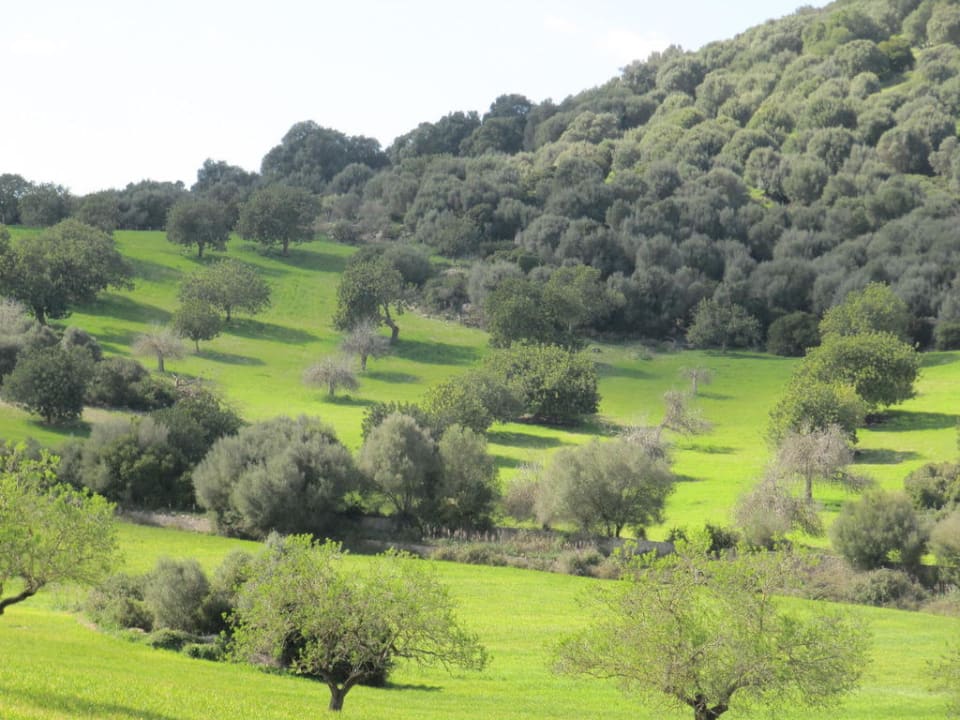 Landschaft in unmittelbar Umgebung Finca Montana