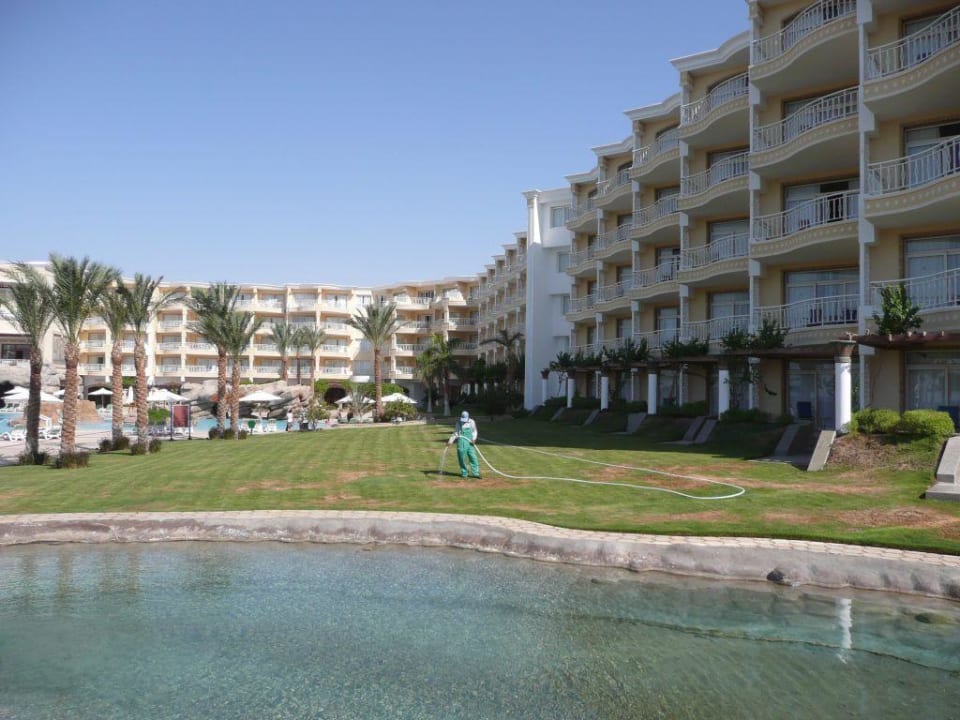 Zimmer mit Meerblick Palm Royale Resort - Soma Bay