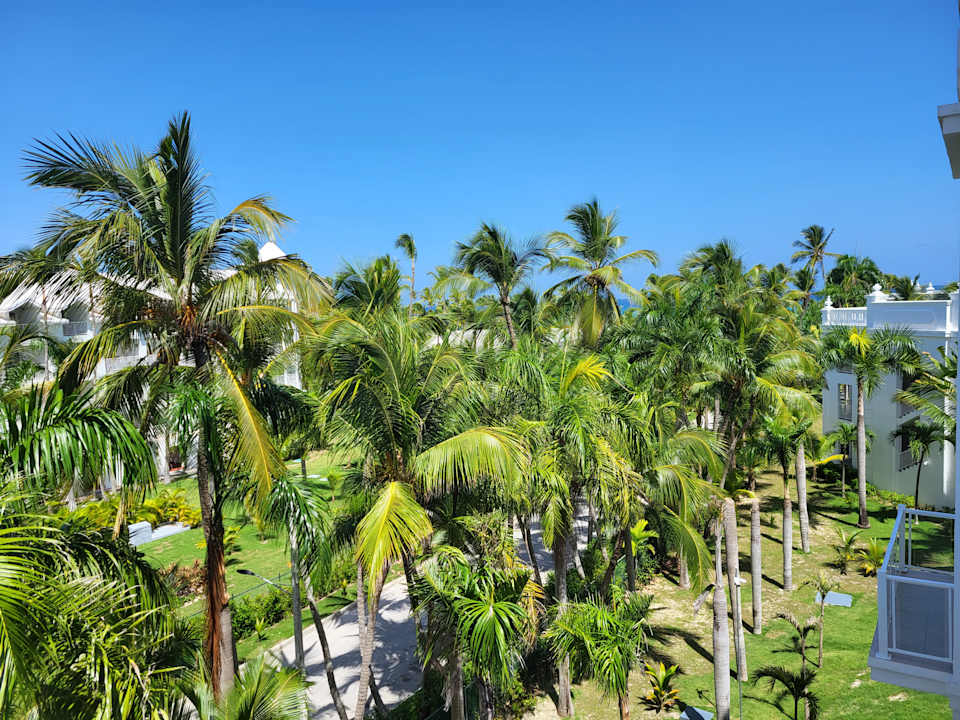 Ausblick Hotel Riu Palace Bavaro