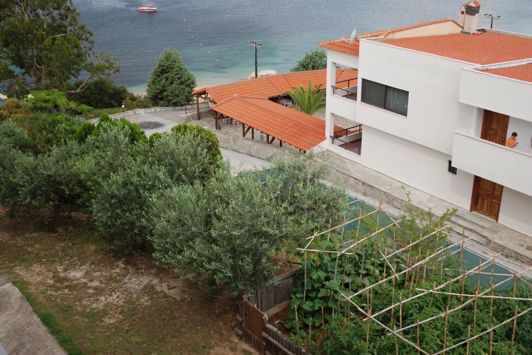 Widok z pokoju Akrathos Beach Hotel