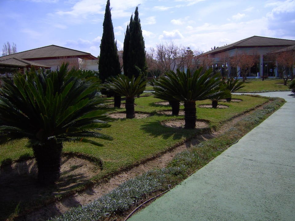 Besser geht es nicht Prinsotel La Dorada