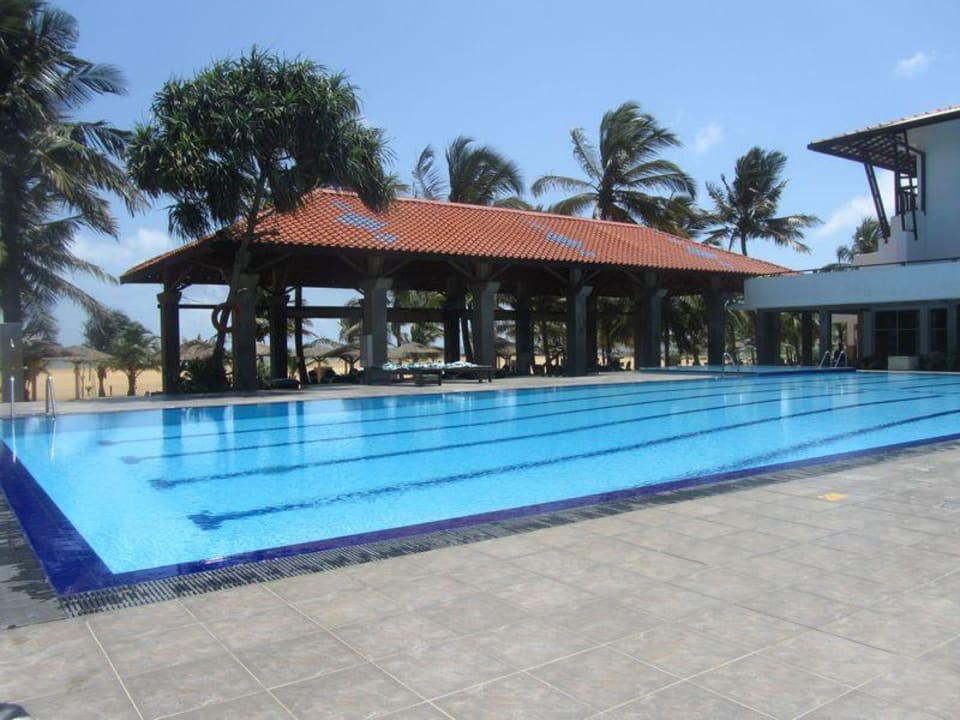 Vom Pool aus kann man zum Meer schauen Goldi Sands Hotel