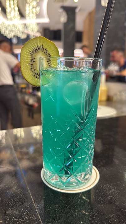 Gastro Seashell Vega