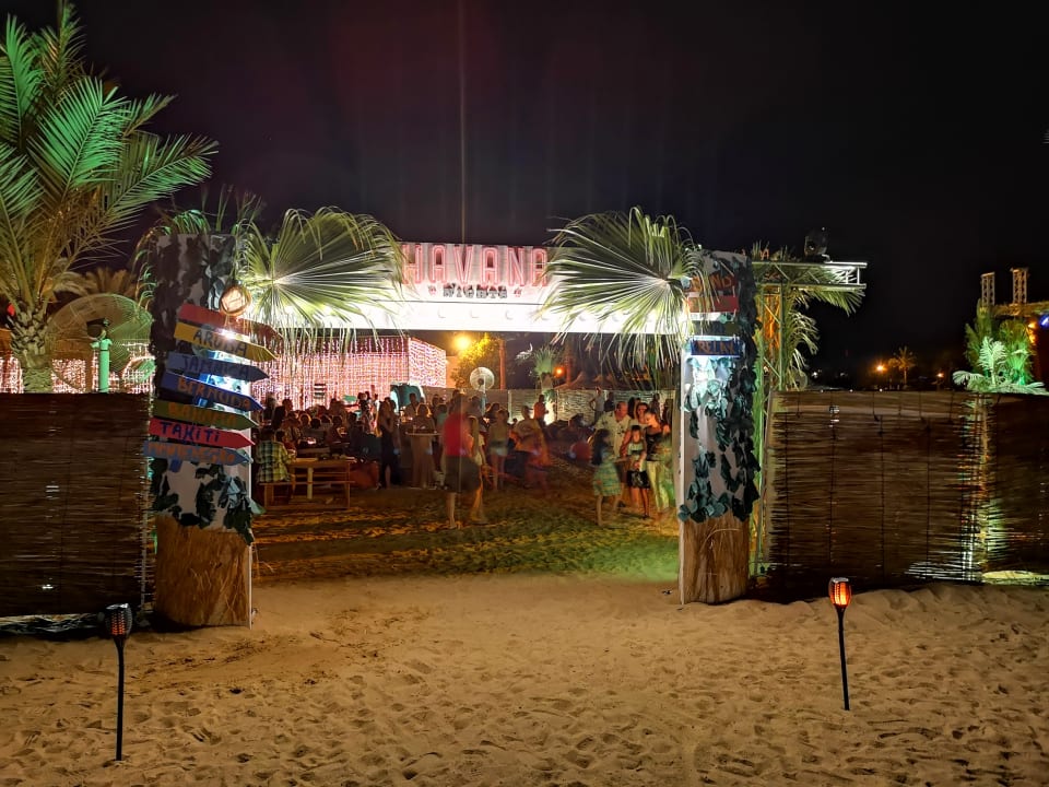 Sport & Freizeit Desert Rose