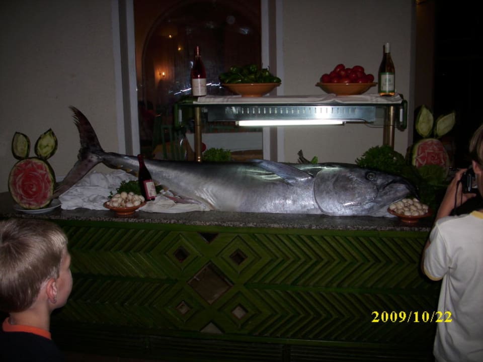 Riesenfisch Mahdia Beach & Aquapark