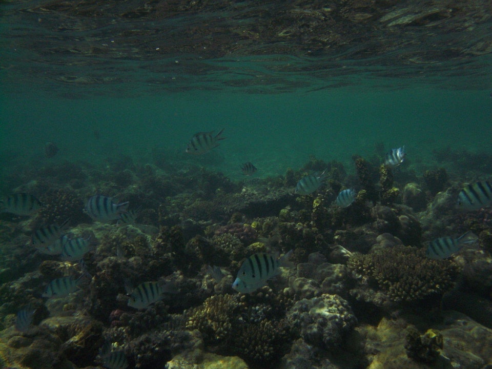 Vom Steg zu erreichen Titanic Beach Spa & Aqua Park