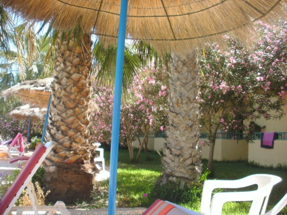 Immer gepflegt The Ksar Djerba Charming Hotel & SPA