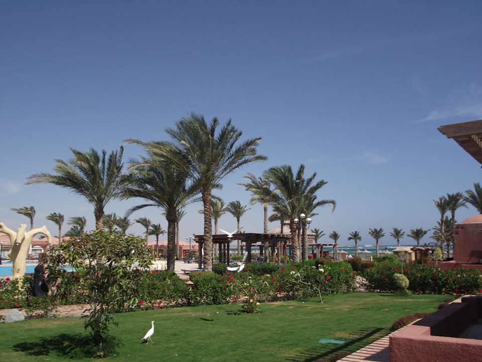 Garten Swisstouch Oriental Resort Marsa Alam