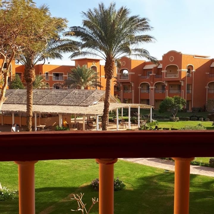 Arten  Sentido Caribbean World Soma Bay