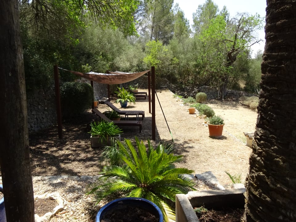 Pool Hotel Son Boronat